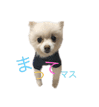taro..（個別スタンプ：1）