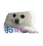 taro..（個別スタンプ：2）