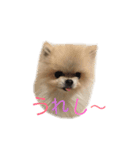 taro..（個別スタンプ：6）