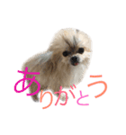 taro..（個別スタンプ：10）
