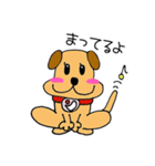 じゃぱ犬と仲間たち2（個別スタンプ：1）