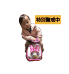 しーちゃん生活（個別スタンプ：15）