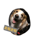 HaPpY ＆ PaStA  2（個別スタンプ：2）