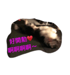 HaPpY ＆ PaStA  2（個別スタンプ：4）