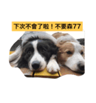 HaPpY ＆ PaStA  2（個別スタンプ：7）