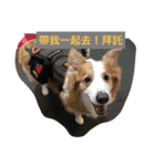 HaPpY ＆ PaStA  2（個別スタンプ：9）