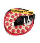 HaPpY ＆ PaStA  2（個別スタンプ：16）