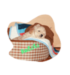 dog lovely2（個別スタンプ：2）