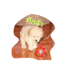 dog lovely2（個別スタンプ：5）