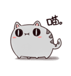 Staring Cat（個別スタンプ：1）