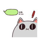 Staring Cat（個別スタンプ：5）