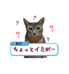 猫で行こう【2】（個別スタンプ：10）