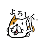 きっとねこ（個別スタンプ：1）