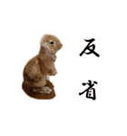 komomo3（個別スタンプ：2）