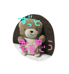 くまちんの生活はとてもシンプル。（個別スタンプ：3）