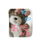 くまちんの生活はとてもシンプル。（個別スタンプ：4）
