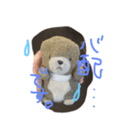 くまちんの生活はとてもシンプル。（個別スタンプ：5）