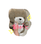 くまちんの生活はとてもシンプル。（個別スタンプ：8）