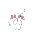 Coco Poodle <shopping days>（個別スタンプ：11）
