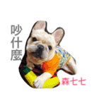 French bulldogs nonsenses ll（個別スタンプ：5）