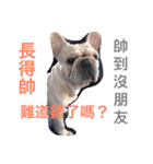 French bulldogs nonsenses ll（個別スタンプ：14）