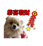 DoDo's Diary（個別スタンプ：2）