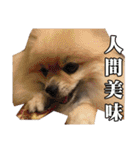 DoDo's Diary（個別スタンプ：28）
