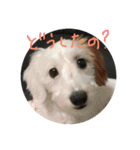 マルくんのまいにち（個別スタンプ：1）