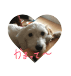 マルくんのまいにち（個別スタンプ：3）