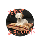 マルくんのまいにち（個別スタンプ：10）