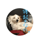 マルくんのまいにち（個別スタンプ：13）