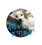 マルくんのまいにち（個別スタンプ：14）