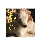 マルくんのまいにち（個別スタンプ：21）