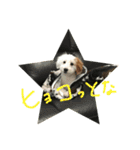 マルくんのまいにち（個別スタンプ：22）
