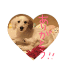 マルくんのまいにち（個別スタンプ：30）