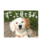 マルくんのまいにち（個別スタンプ：35）