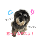 あるとデス（個別スタンプ：1）