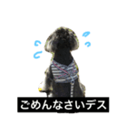 あるとデス（個別スタンプ：3）