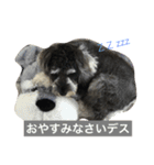あるとデス（個別スタンプ：5）