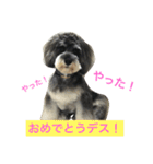 あるとデス（個別スタンプ：6）
