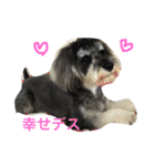 あるとデス（個別スタンプ：7）