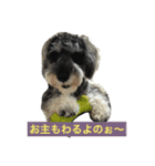 あるとデス（個別スタンプ：8）