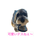 あるとデス（個別スタンプ：9）