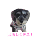 あるとデス（個別スタンプ：11）