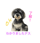 あるとデス（個別スタンプ：12）