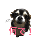 あるとデス（個別スタンプ：14）
