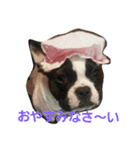jiejiegugu（個別スタンプ：5）