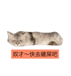 Gucci life（個別スタンプ：5）