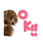 pan_chan1（個別スタンプ：2）