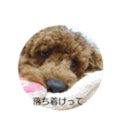 pan_chan1（個別スタンプ：4）